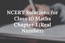 NCERT Solutions for Class 10 Maths-min - Copy