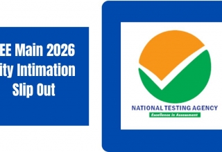 Citiship allotement out